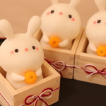 11/20 21時～受注生産開始*🐰＜みかんのおすそ分け！卯の鏡餅2023*