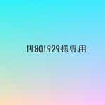 【14801929様専用】ラミネート　ラミネートポーチ　ミニミニポーチ 