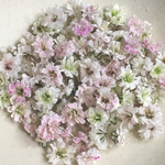 小粒　かすみ草　ドライフラワー　pail pink mix