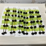 Aさま専用ページ