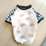 犬服！Msize！クマ！ギンガムチェック