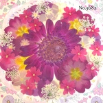 ♡new♡作家様必見♡押し花MIXセット♡押し花セット