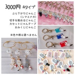 にゃん袋2023/3000円Aタイプ