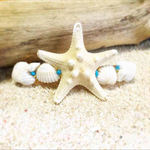No.10   コブヒトデバレッタ♡*｡ﾟ  貝殻×ヒトデ