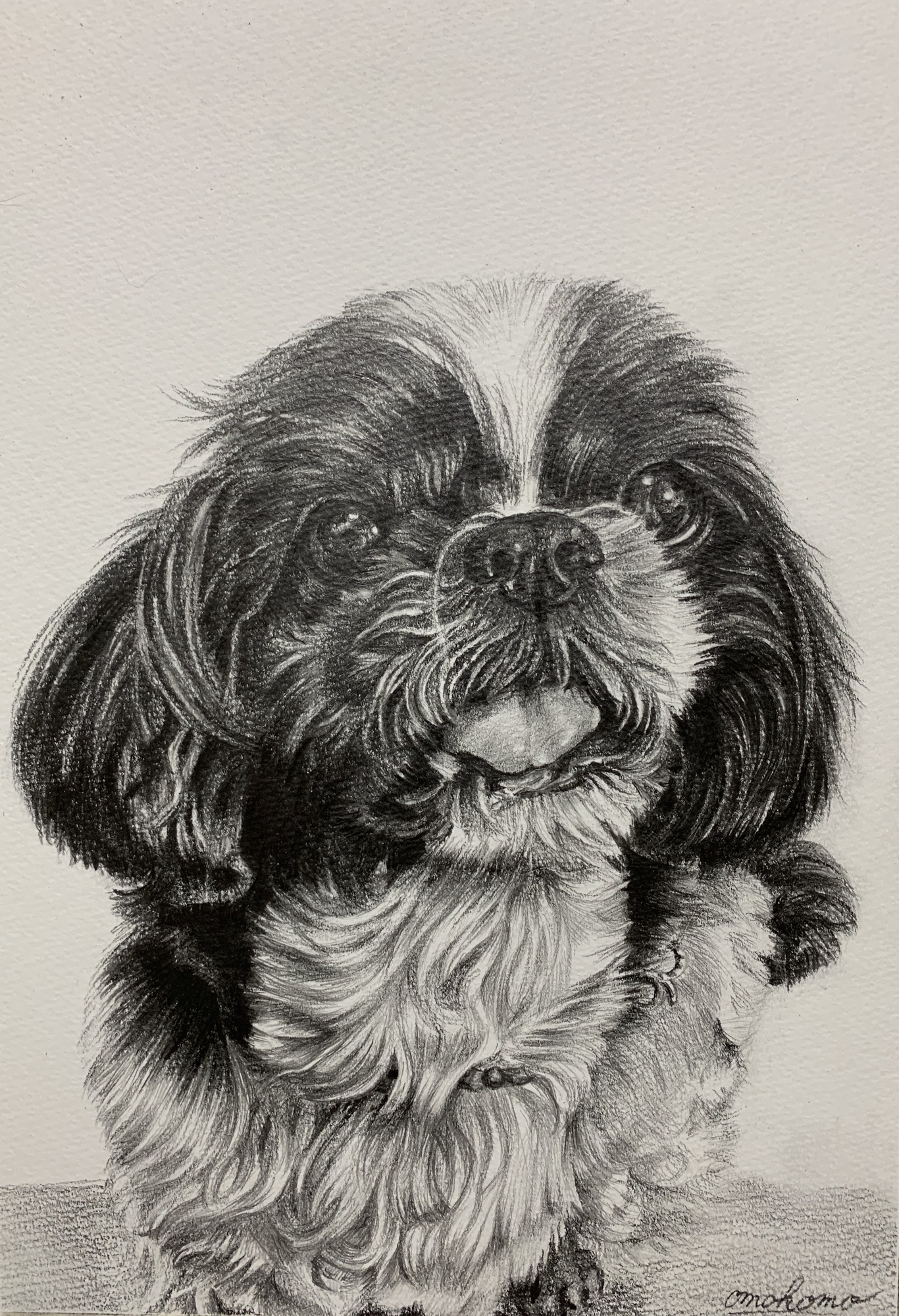 鉛筆画　オーダー画面 オーダーメイド色鉛筆画(A4サイズ) | ペットの肖像画屋さん