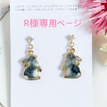 ⚘ ⚘R様専用⚘ ⚘  うちの子カラーのピアス、イヤリング、ネックレス