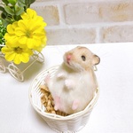 イエロープディング *ラッコ抱きハムスター♪* <羊毛フェルト> 