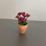 ビオラ　ちびっこ花鉢　8