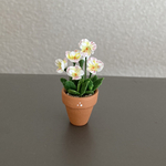ビオラ　ちびっこ花鉢　4
