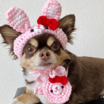  犬用＆猫用 リボン付きうさちゃん帽子🐰💗イースター 干支