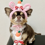 犬用＆猫用 うさちゃん帽子🐰💗干支帽子 正月