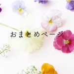 押し花 ノースポール 紫陽花 レースフラワー ハルシヤギク レジンヘアクリップ ヘアピン 押し花ヘアクリップ 
