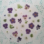 押し花素材32　紫色の小花のセット　花材　白　ミックス
