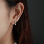 14kgf-pearl brunch 2way(イヤリング/ピアス)