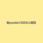 @puncha1002さん専用