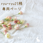 【ryu-ryu25様専用ページ】