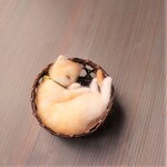 送料400円★かご猫◆きなこ　Φ8.5cm