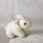 lapin blanc 2023