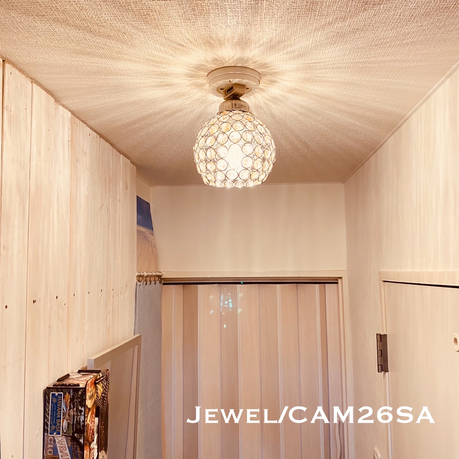 照明 シーリングライト Jewel/CAM 天井 ライト E26 インテリア ガラス