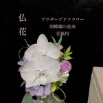 you7669専用ページ胡蝶蘭の仏花(花束タイプ)