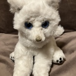 柔らかい深雪と虹の幻獣さん