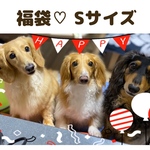 犬服　♡新春福袋販売のお知らせ♡