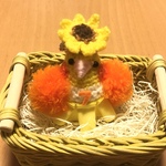 miwanaokiさま♡専用ページ♡チアダン♡応援オカメインコちゃん（ルチノー・オレンジポンポン）