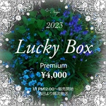 2023年 Plemium ¥4,000 【1／10まで受付中】【限定新春福袋】