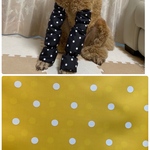 スタンダードプードル　犬用汚れ防止カバー　ブレスカバー　足カバー　あしカバー　大型犬