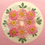 押し花セットL＜組み立ての花＆ノースポール＆レースフラワー他＞