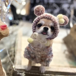 犬 帽子 SSサイズ ♡ ぽんぽん ニット 帽子 猫 帽子 ペット 帽子 犬 かぶりもの 被り物 ニット帽 くま クマ