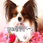 rayao様オーダー パピヨンちゃん🎵