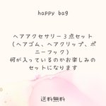 【happy bag】ヘアアクセサリー３点お楽しみセット