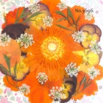 ♡new♡作家様必見♡押し花MIXセット♡押し花セット