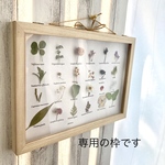 専用枠です。nicchi-chan様用