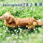 kaorialemilさま♪専用