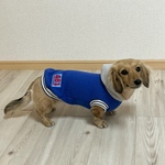 犬服【あったかカジュアルパーカー🔹Blue】