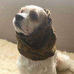 雪の結晶柄◉茶色　犬用スヌード　中型犬用スヌード