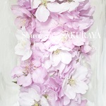 ❀miko6797様専用オーダーページ❀