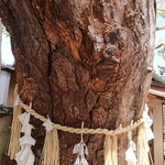新春2023年霊視スピリチュアル一年運勢鑑定