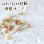 【yuzunico-01様専用ページ】