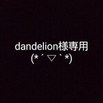 ‼️dandelion様専用‼️