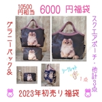 【🐰初売り福袋🐰】『ルイ豪華福袋』（通常10500円相当）総点数３アイテム　 ¥6000