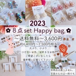  ✿  2023 Happy bag ✿ サージカルステンレス ニッケルフリー ピアス イヤリング 送料無料 福袋