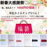 新春大感謝祭 セール 数量限定 単色 ネイルチップ 5つ入り 福袋
