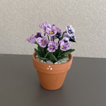 ビオラ　花鉢　14