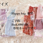 ibuki0805様happy bagご予約専用カートです❣️ happy bag  福袋　犬福袋　犬服　ワンピース5着  小物4点 です❣️