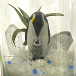 ペンギン親子と大きな水晶 テラリウム