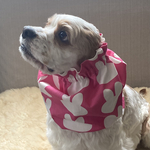 セール対象品❤︎うさぎ柄❤︎ピンク　犬用スヌード　中型犬用スヌード