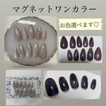 ネイルチップ　マグネットワンカラー